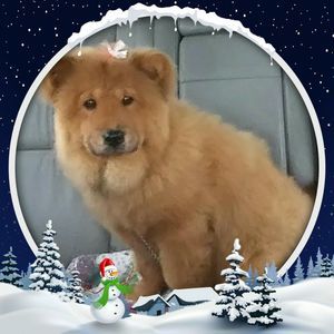 Meet your Posher, Lynn